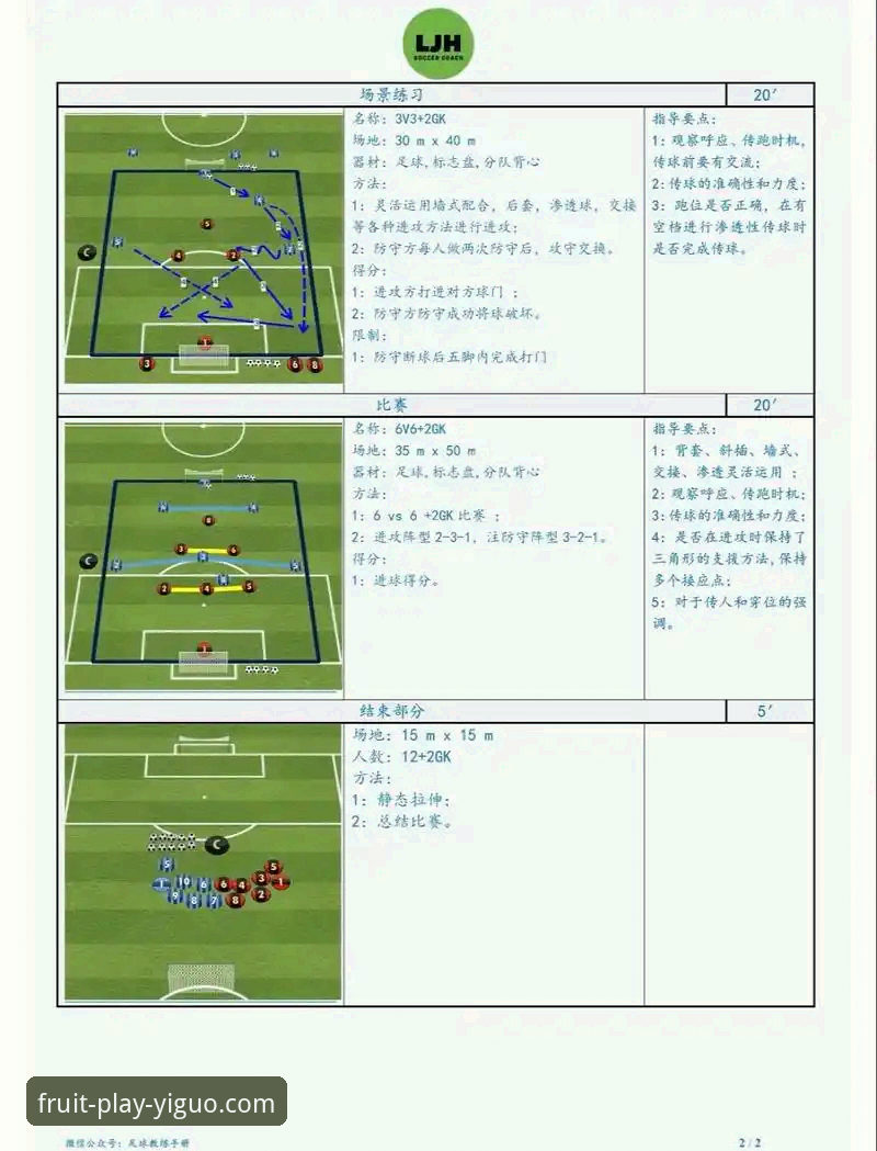 瑞典中场贝里瓦尔世界杯追梦实录：从手术台到赛场的热血操作教程