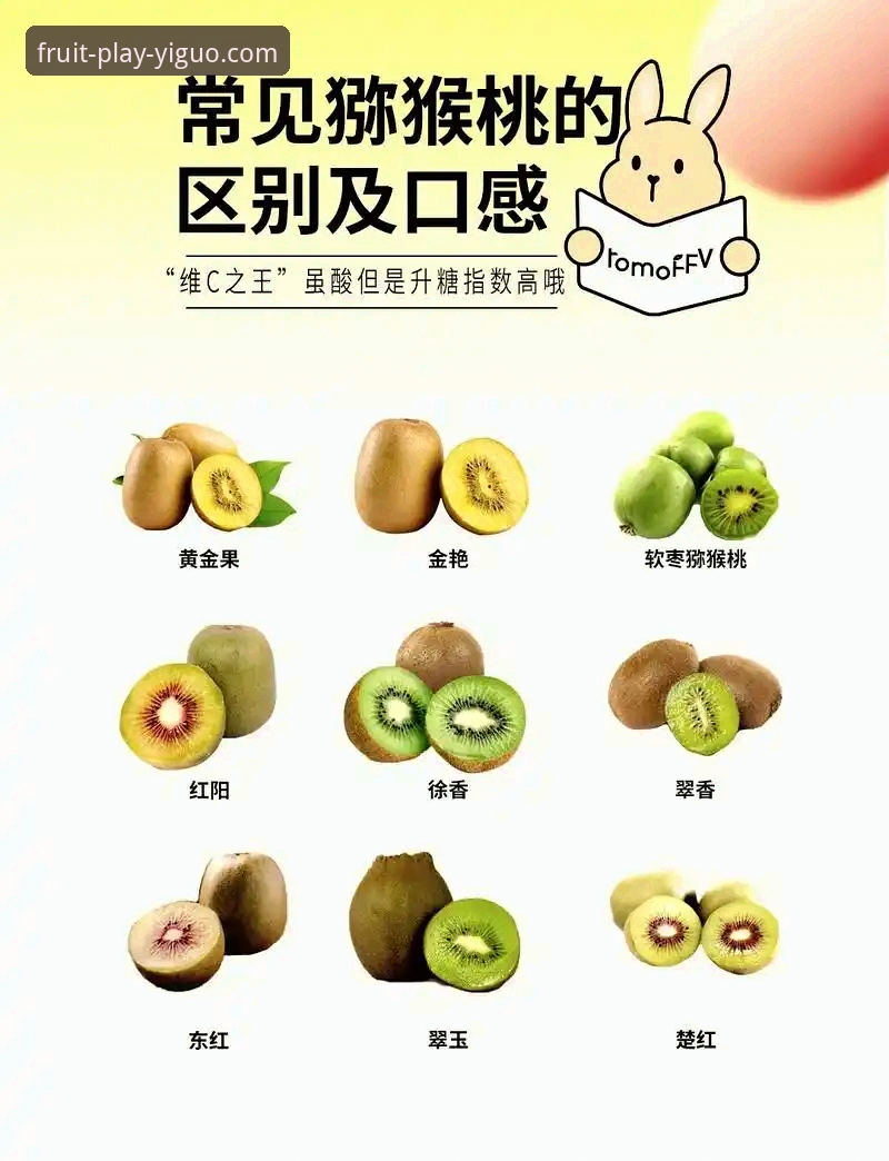奇异果娱乐安全吗？官方正版与盗版对比分析，新手必看选择指南