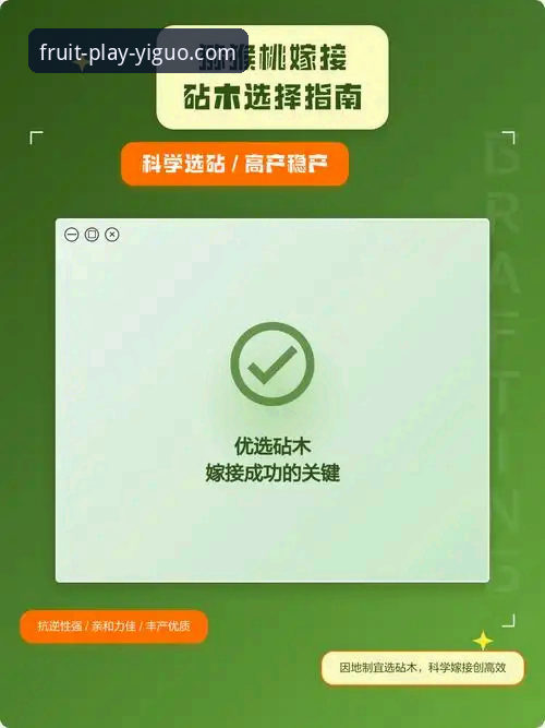 奇异果娱乐安装教程vs官方正版入口：从下载到安装的全面对比与选择指南